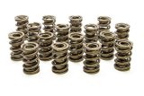 Valve Spring - 1200 Series Circle Track - Dual Spring / Damper - 500 lb/in Spring Rate - 1.130 in Coil Bind - 1.539 in OD - Set of 16 thumbnail 1