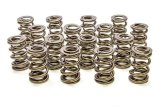 Valve Spring - 1200 Series Drag Race - Dual Spring - 629 lb/in Spring Rate - 1.100 in Coil Bind - 1.625 in OD - Set of 16 thumbnail 1