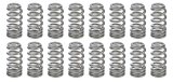 Valve Spring - RPM Series - Ovate Beehive Spring - 240 lb/in Spring Rate - 0.941 in Coil Bind - 0.848 in / 1.021 in OD - Ford Coyote - Set of 16 thumbnail 1