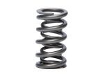 Valve Spring - RPM Series - Dual Spring - 600 lb/in Spring Rate - 0.985 in Coil Bind - 1.274 in OD - GM LS-Series - Each thumbnail 1