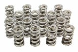 Valve Spring - RPM Series - Dual Spring - 600 lb/in Spring Rate - 0.985 in Coil Bind - 1.274 in OD - GM LS-Series - Set of 16 thumbnail 1