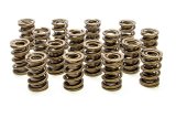 Valve Spring - 1200 Series Circle Track - Dual Spring / Damper - 540 lb/in Spring Rate - 1.180 in Coil Bind - 1.550 in OD - Set of 16 thumbnail 1