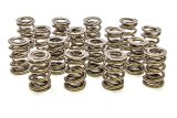 Valve Spring - 1200 Series Circle Track - Dual Spring - 550 lb/in Spring Rate - 1.150 in Coil Bind - 1.550 in OD - Set of 16 thumbnail 1