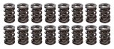 Valve Spring - 1200 Series Circle Track - Dual Spring - 743 lb/in Spring Rate - 1.055 in Coil Bind - 1.570 in OD - Set of 16 thumbnail 1
