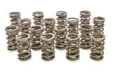 Valve Spring - 1200 Series Circle Track - Dual Spring - 526 lb/in Spring Rate - 1.200 in Coil Bind - 1.550 in OD - Set of 16 thumbnail 1