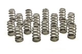 Valve Spring - RPM Series - Ovate Beehive Spring - 313 lb/in Spring Rate - 1.170 in Coil Bind - 1.135 in / 1.589 in OD - Set of 16 thumbnail 1