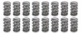 Valve Spring - 1300 Series Drag Race - Dual Spring - 780 lb/in Spring Rate - 1.130 in Coil Bind - 1.500 in OD - Set of 16 thumbnail 1