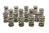 Valve Spring - 1300 Series Drag Race - Dual Spring - 863 lb/in Spring Rate - 1.160 in Coil Bind - 1.514 in OD - Set of 16 thumbnail 1