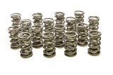 Valve Spring - 1300 Series Circle Track - Dual Spring - 513 lb/in Spring Rate - 1.140 in Coil Bind - 1.564 in OD - Set of 16 thumbnail 1