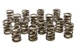 Valve Spring - Hot Rod Series - Single Spring / Damper - 376 lb/in Spring Rate - 1.1 in Coil Bind - 1.500 in OD - Set of 16 thumbnail 1