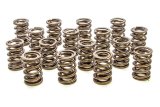 Valve Spring - Hot Rod Series - Dual Spring - 391 lb/in Spring Rate - 1.05 in Coil Bind - 1.459 in OD - Set of 16 thumbnail 1