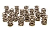 Valve Spring - Hot Rod Series - Dual Spring - 370 lb/in Spring Rate - 1.010 in Coil Bind - 1.290 in OD - Set of 16 thumbnail 1