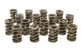 Valve Spring - Hot Rod Series - Dual Spring / Damper - 431 lb/in Spring Rate - 1.125 in Coil Bind - 1.540 in OD - Set of 16 thumbnail 1