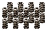 Valve Spring - Hot Rod Series - Dual Spring / Damper - 469 lb/in Spring Rate - 1.120 in Coil Bind - 1.555 in OD - Set of 16 thumbnail 1