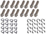 Header Bolt - Locking - 3/8-16 in Thread - 1.25 in Long - 12 Point Head - Steel - Nickel Plated - Small Block Ford - Set of 16 thumbnail 1