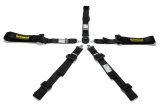 Harness - Profi 2x2 - 5 Point - Camlock - SFI 16.1 - Pull Down Adjust - Wrap Around - Individual Harness - HANS Ready - Black - Kit thumbnail 1