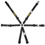 Harness - Profi 2x2 - 6 Point - Camlock - SFI 16.1 - Pull Up Adjust - Wrap Around - Individual Harness - HANS Ready - Black - Kit thumbnail 1