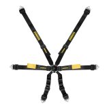 Harness - Enduro 2x2 - 6 Point - Camlock - FIA Approved - Pull Down Adjust - Snap-On / Wrap Around - Black - Kit thumbnail 1