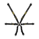 Harness - Flexi 2x2 - 6 Point - Camlock - FIA Approved - Pull Down Adjust - Clip In / Wrap Around - Individual Harness - HANS Ready - Black - Kit thumbnail 1