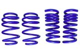 Suspension Spring Kit - MagneRide - Lowering - Front / Rear - Steel - Blue Powder Coat - Ford Mustang 2015-24 - Kit thumbnail 1
