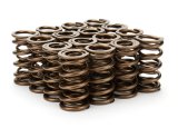 Valve Spring - Dual Spring - 355 lb/in Spring Rate - 1.200 in Coil Bind - 1.290 in OD - Set of 16 thumbnail 1