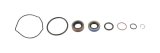 Power Steering Pump Seal Kit - O-Rings / Seals - Rubber / Steel - Natural - Sweet Power Steering Pumps - Kit thumbnail 1