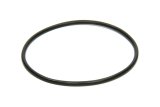 O-Ring - Rubber - Inner Seal Plate - Tiger Rear End - Each thumbnail 1