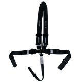 Harness - Sprint Car - 5 Point - Latch and Link - SFI 16.1 - Pull Down Adjust - Bolt-In / Wrap Around - V-Type Harness - Black - Kit thumbnail 1