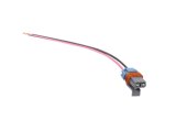 Walbro E85 Fuel Pump Plug thumbnail 1