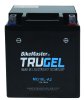 BikeMaster TruGel Battery - MG10L-A2 thumbnail 3