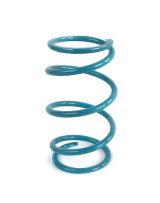 EPI 16-22 Polaris RZR XP Turbo/S/4/ RZR RS1 Secondary Spring Teal thumbnail 1