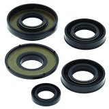 QuadBoss 03-06 Kawasaki KFX80 Oil Seal Set thumbnail 2