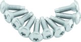 Twin Power 01-17 Softail Models 02-07 FLH FLHT Fuel Pump Plate Screw Kit Replaces H-D 1311D thumbnail 1