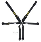 Harness - Profi III - 6 Point - Camlock - SFI 16.5 - Pull Up Adjust - Bolt-In / Wrap Around - Individual Harness - HANS Ready - Black - Kit thumbnail 1