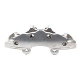 DFC 06-13 Chevrolet Corvette Front-L Premium Caliper - Silver Zinc Coated thumbnail 1