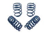 Dinan 20-25 BMW X3 M/X4 M (F97/F98) Performance Spring Set thumbnail 1