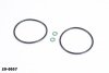 Radium Engineering Catch Can O-Ring Service Kit thumbnail 3